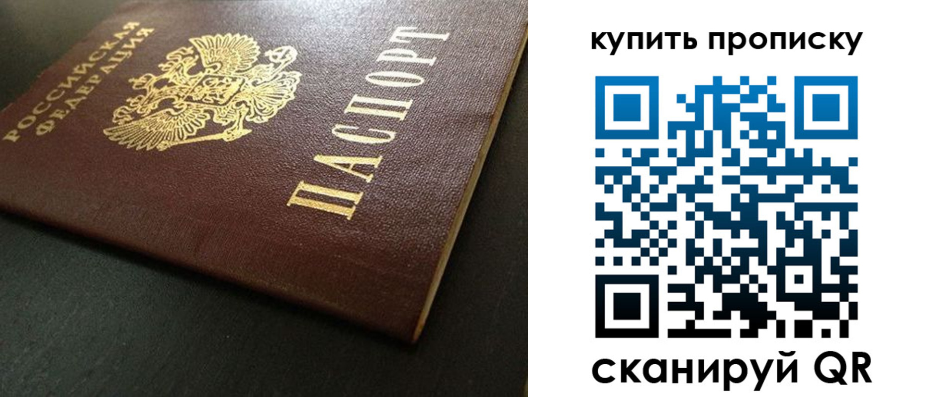 прописка законно в Александровске